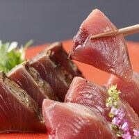 3月～5月【土佐の地酒飲み放題】名物かつをの藁焼き塩たたきと鮮魚の藁焼き全13品【龍馬コース】