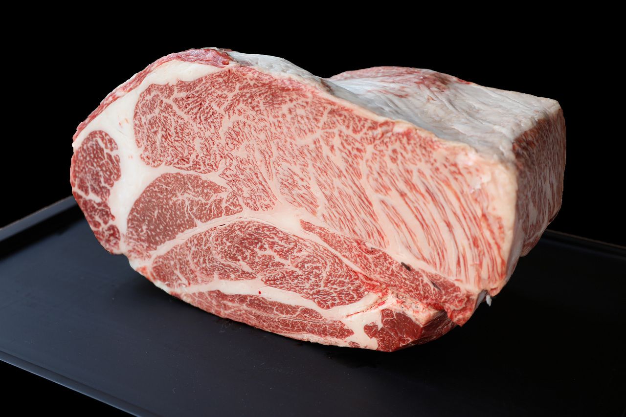 A5 Wagyu beef course (Saga beef or Miyazaki beef served daily)