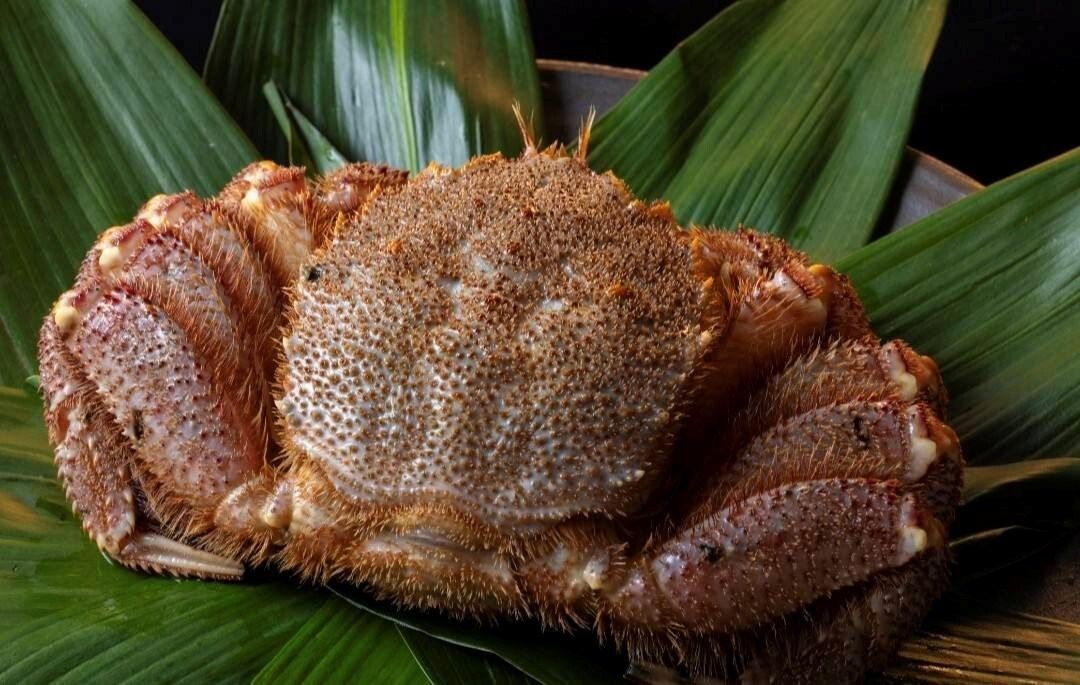 Chinese Matsutake mushroom and extra large hairy crab course [up to 3 people] (Price shown is for 1 person)