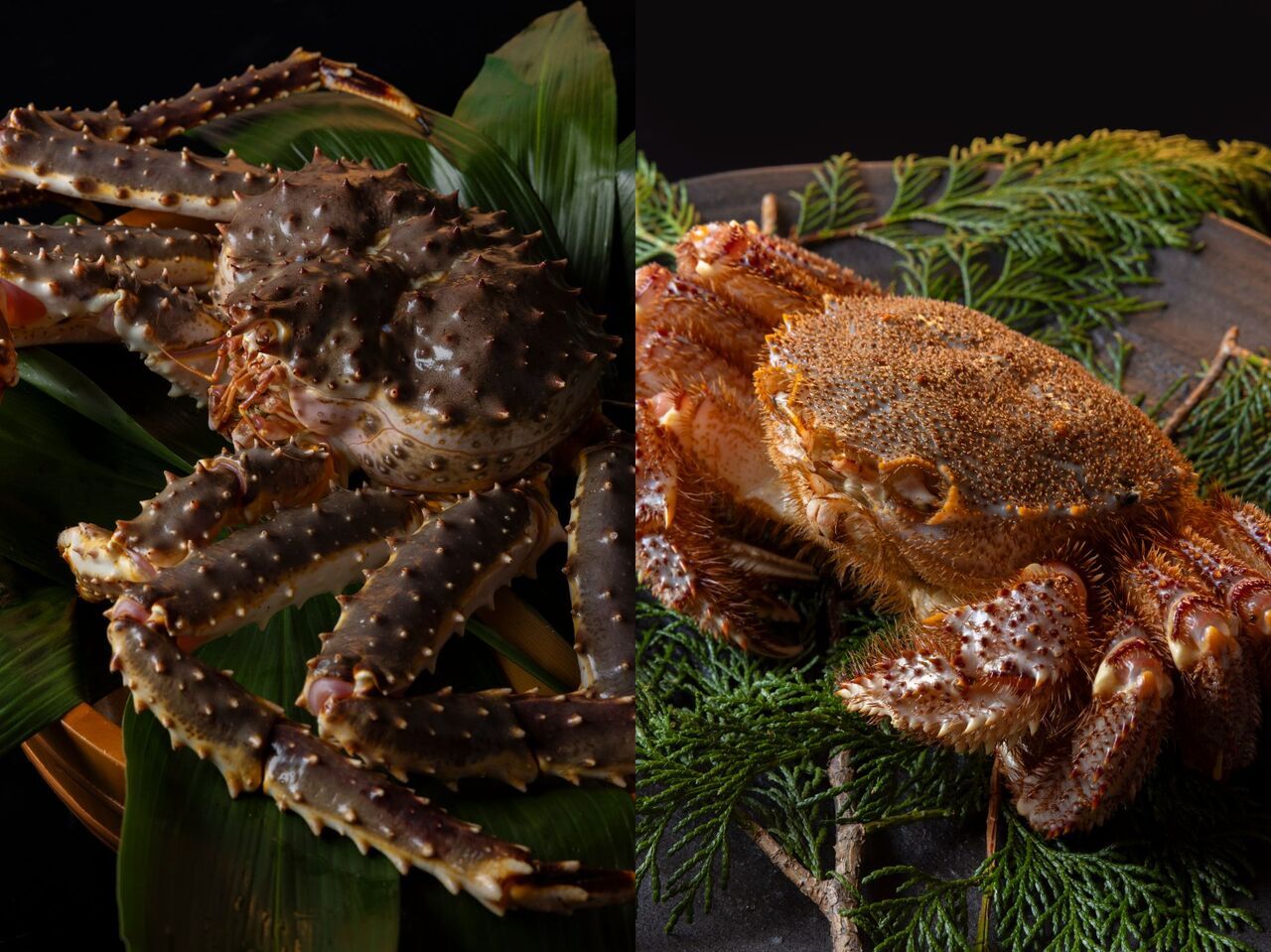 Live hairy crab and live king crab course 【for 3 people】 (Price shown is for 1 person)