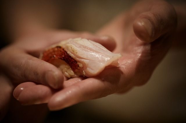 Sushi Counter / CHEF'S CHOICE