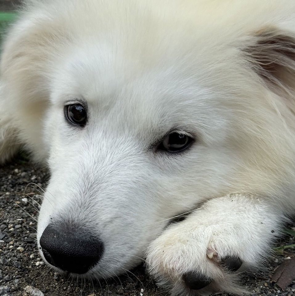 [Advance reservation/weekdays] Store use ticket (1 hour) 