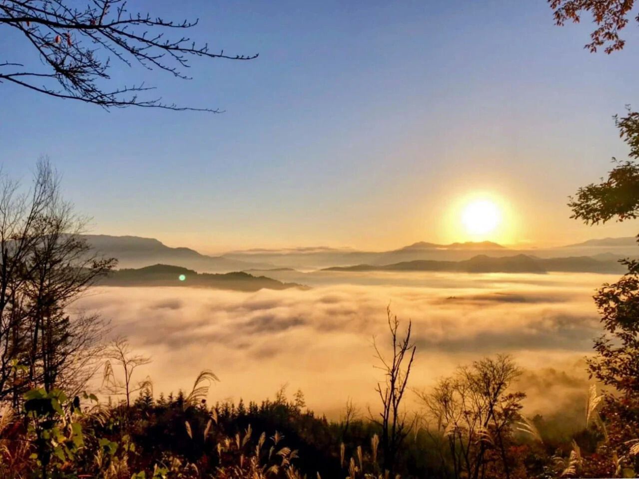 Enjoy New Year's celebrations at Ristorante Iibashitei