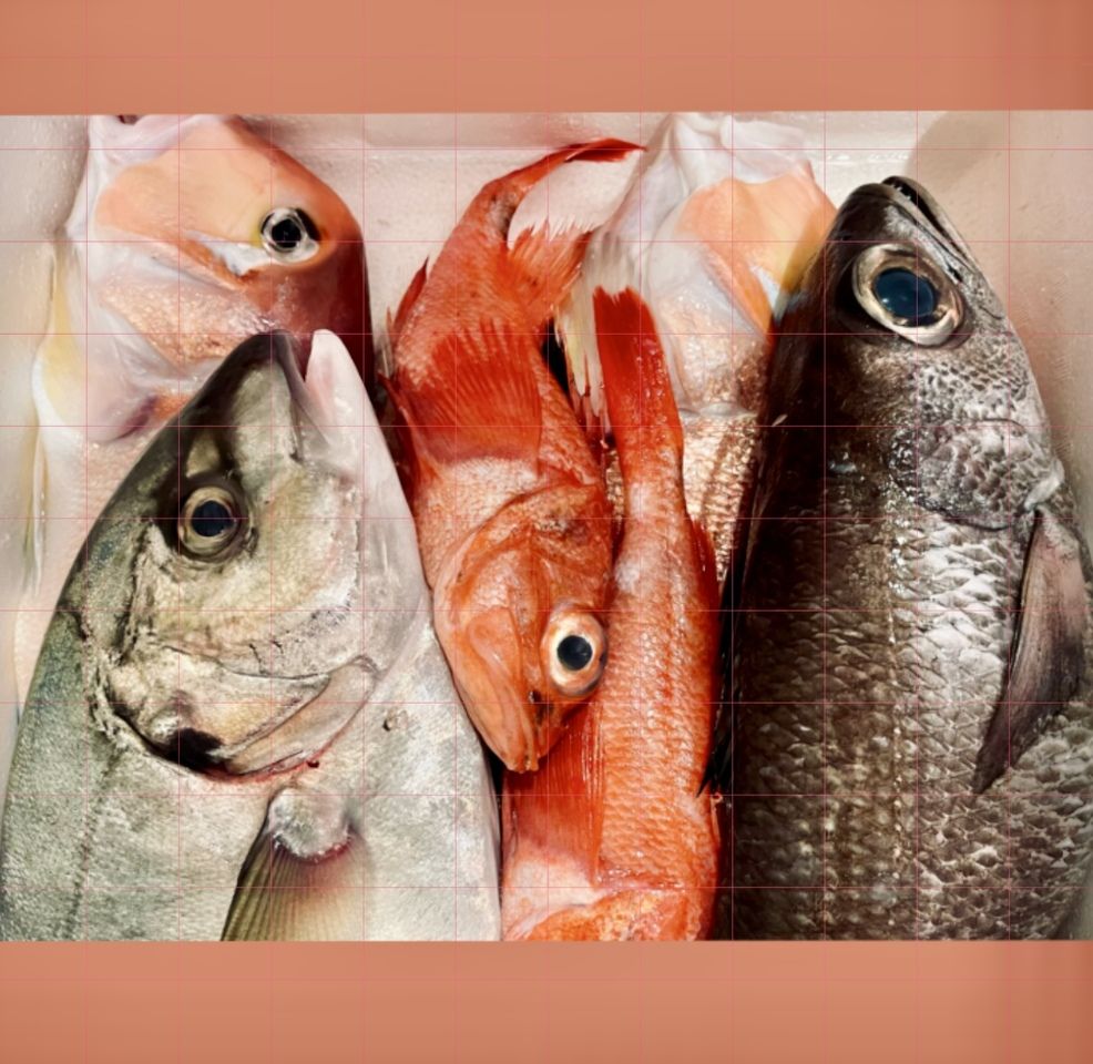 Chef's choice full course