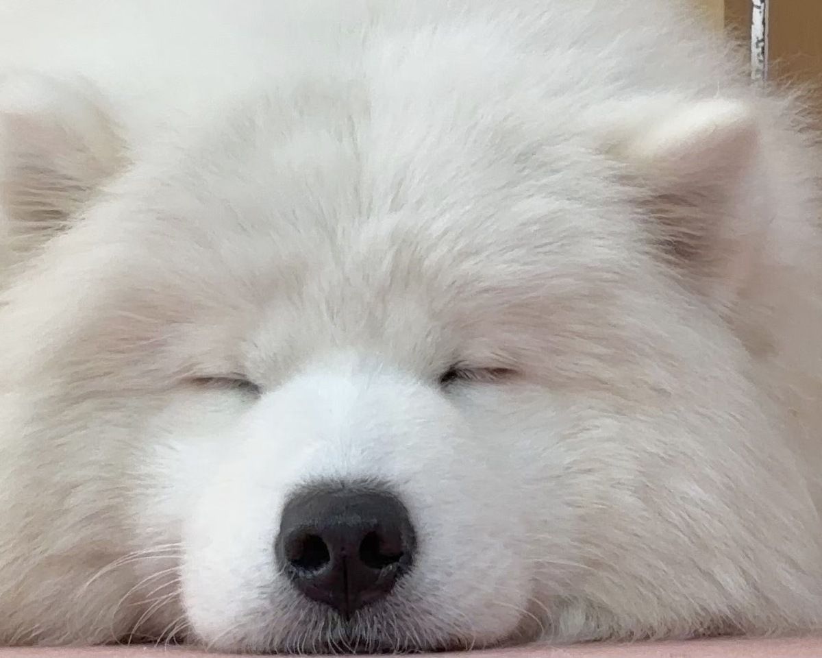 Weekends and Holidays: Regular ticket (50 minutes)