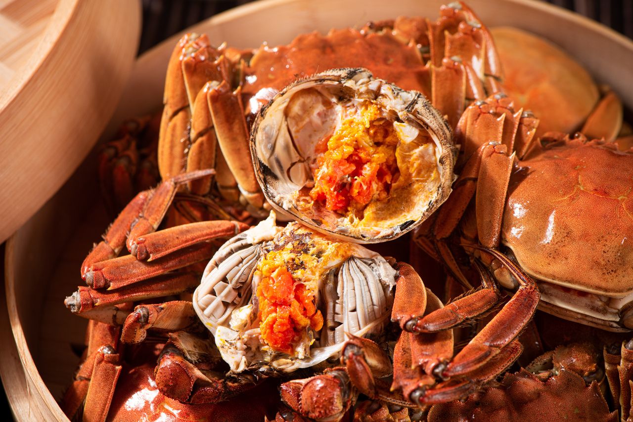 2025上海蟹スペシャルコースプラン