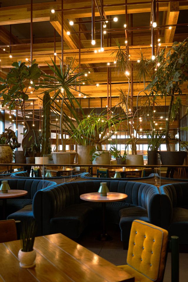 December 31st only: Champagne free flow plan