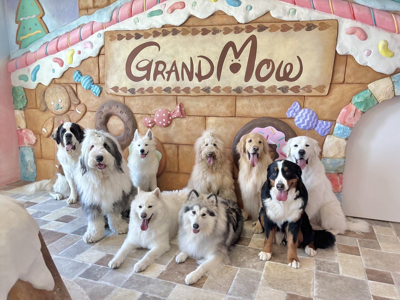 【周末及节假日】派对自助餐及互动计划