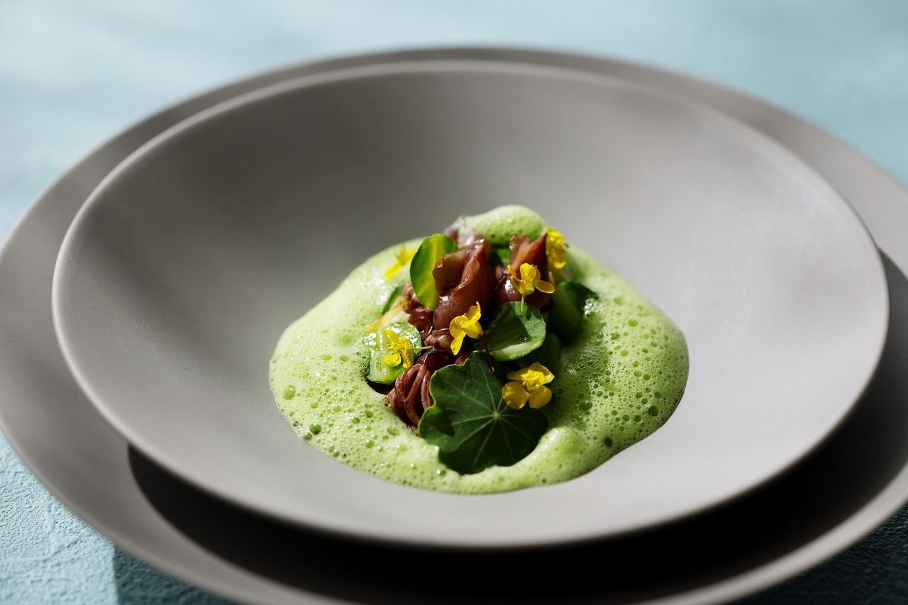 [March / April] Blissful full course meal
