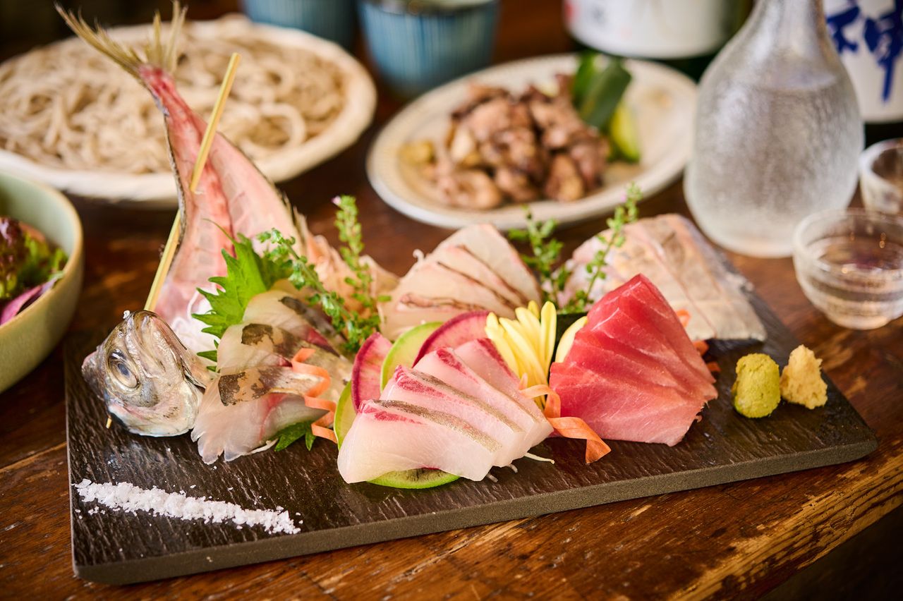 【お料理のみコース】フクロウの定番＆おすすめ＜全6品＞コース