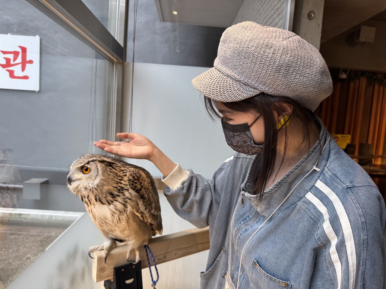 [Adult] Touch only + 1 drink included