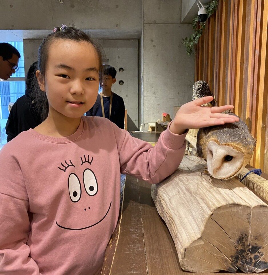 【小學生以下、4歲～12歲】僅摸貓頭鷹+含 1 杯飲料
