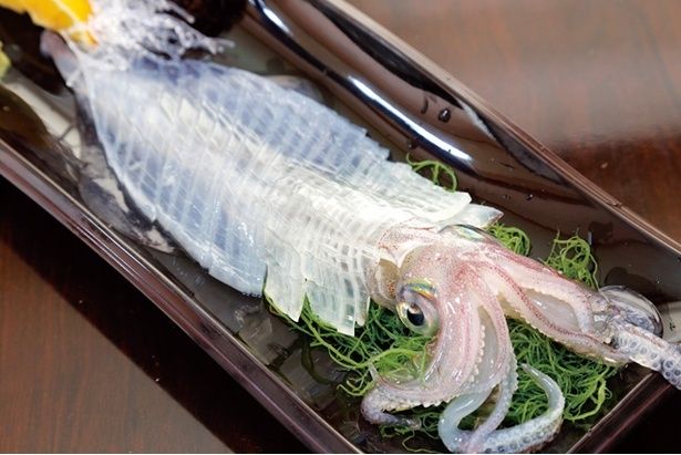 【お茶室でのお抹茶付き】1人１杯呼子イカ付き鮨OMAKASEコース