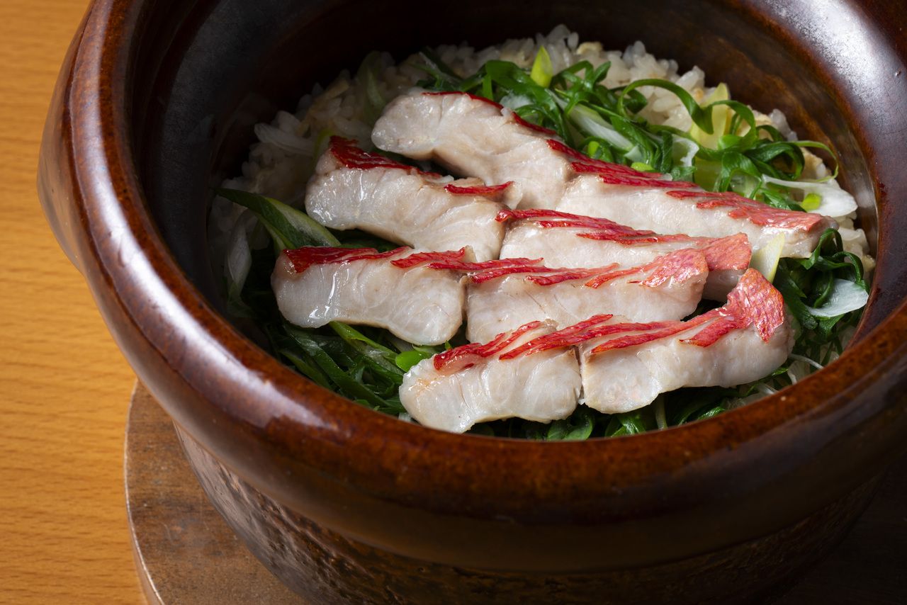 おまかせコース 8,800円