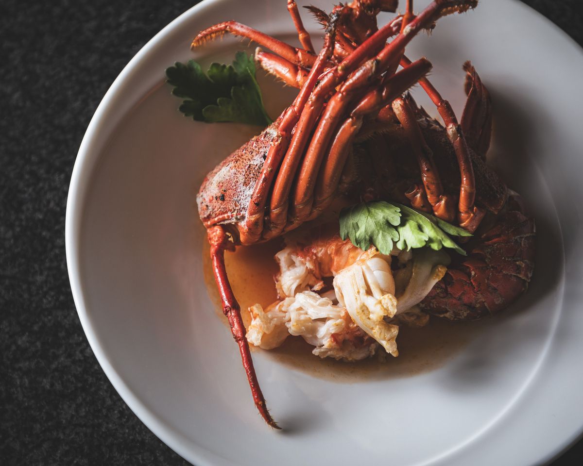 【極上せとうみコース】オリーブ牛、フォアグラ、伊勢海老と鮑を含んだ贅沢なプラン全7品