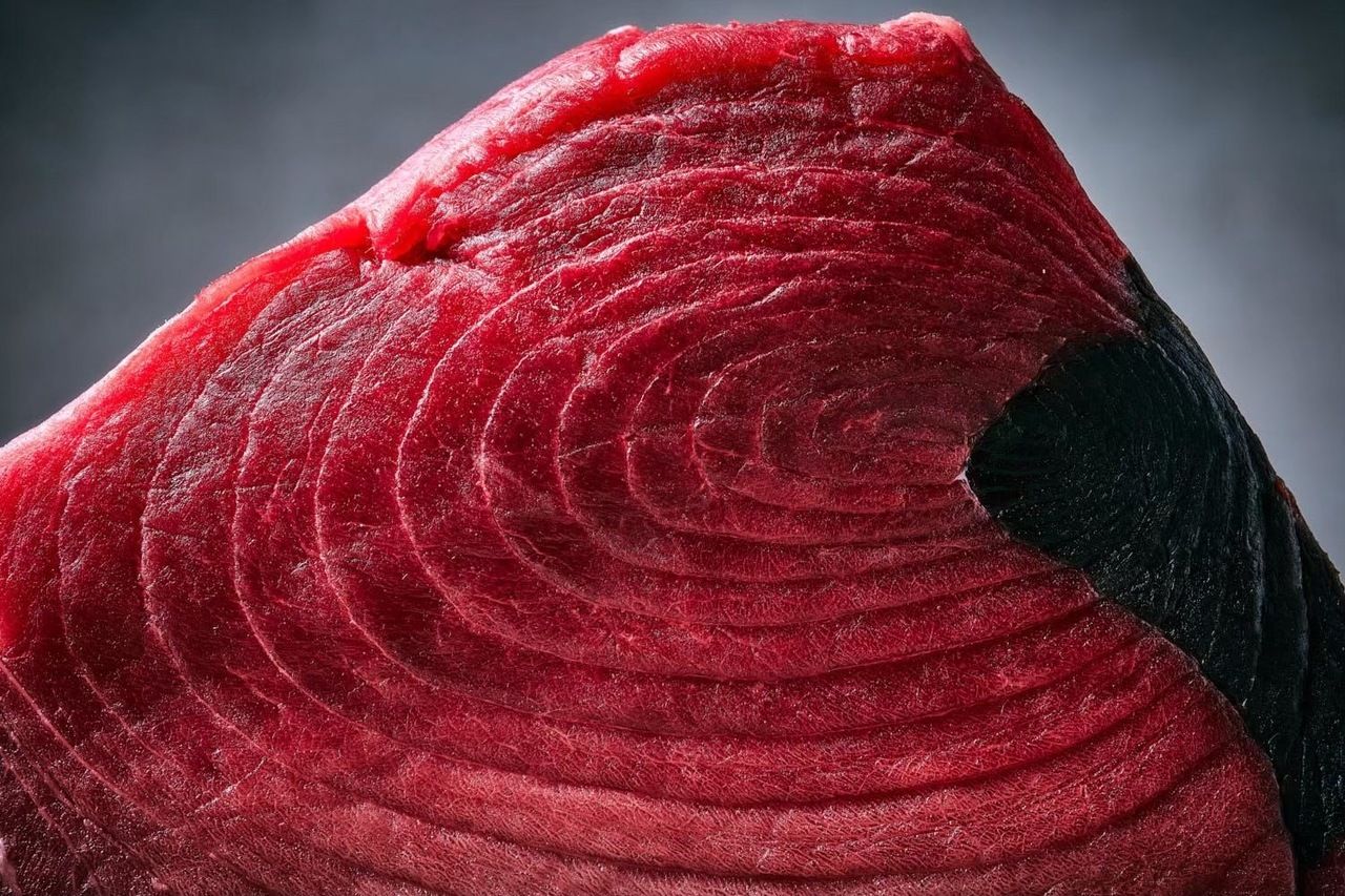 マグロ贅沢コース　6000円