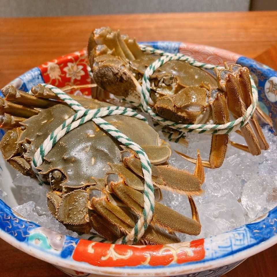 قائمة "Excellent" مع سرطان شنغهاي