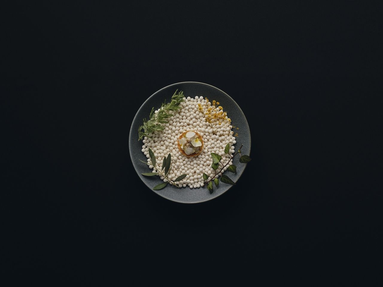 ショートコース