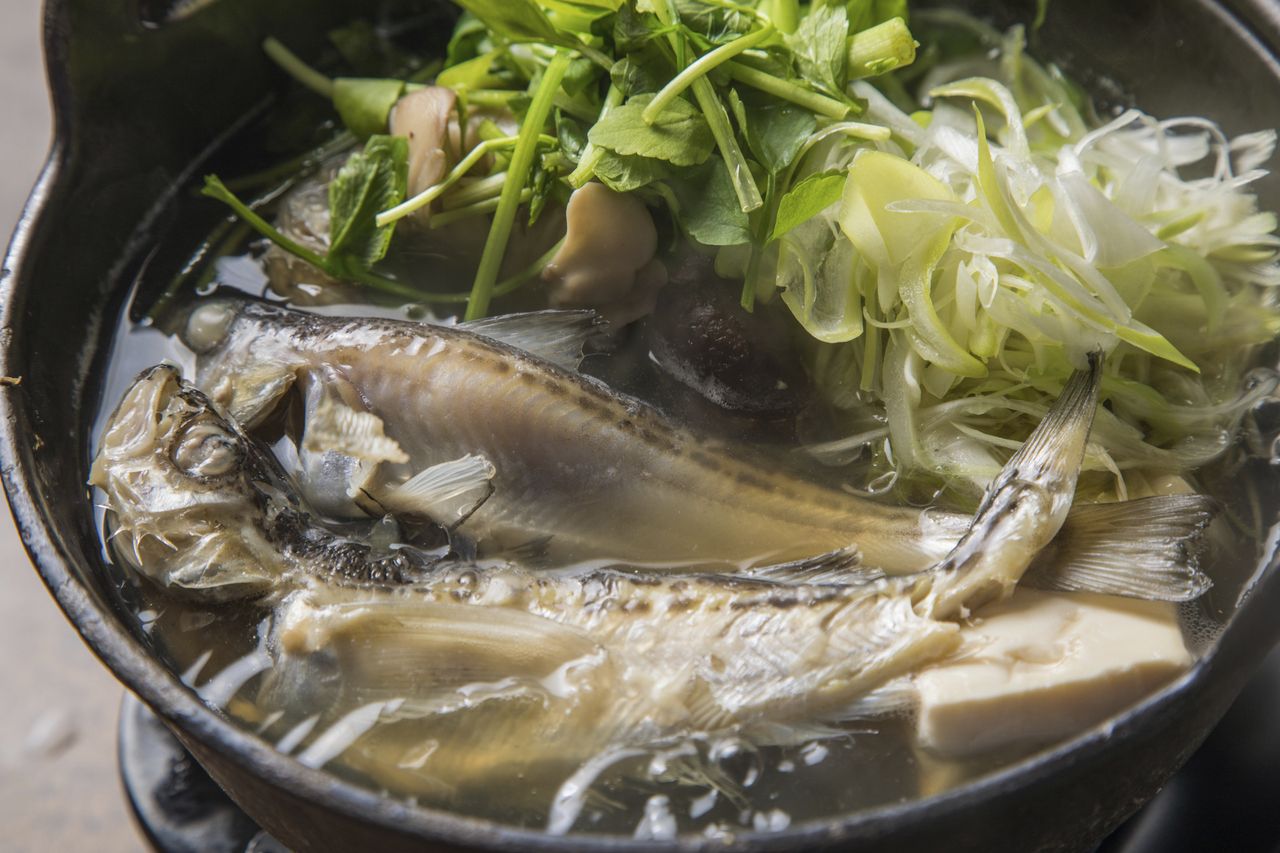 【11月〜】男鹿ハタハタ三昧　しょっつる鍋コース【2時間飲み放題付き】　10品7000(税込)