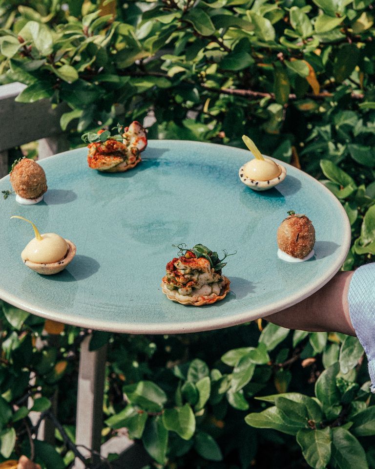 【Chef’s Seasonal Selection – Lunch＋プレミアムフリードリンク付き】11/19~