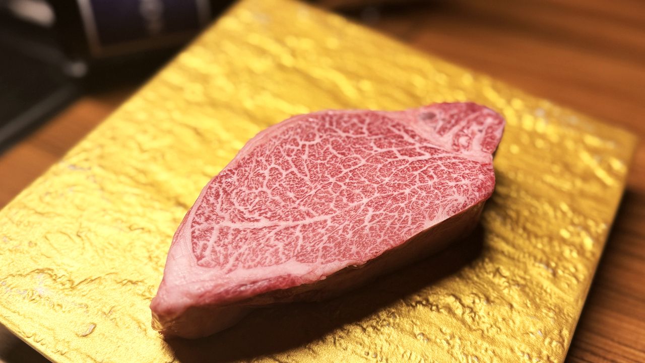 [PONGA Ten Course] PONGA’s Finest Feast — The Pinnacle of Taste