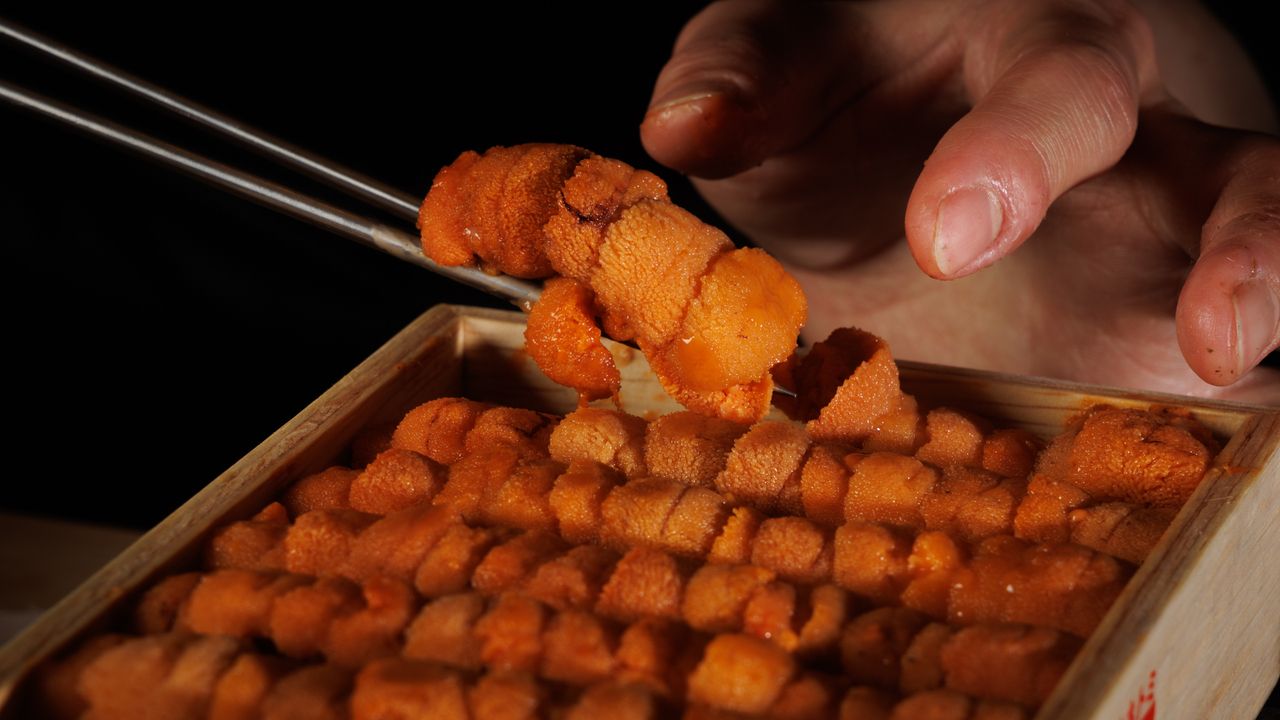 All-inclusive evening omakase course (with all-you-can-drink)
