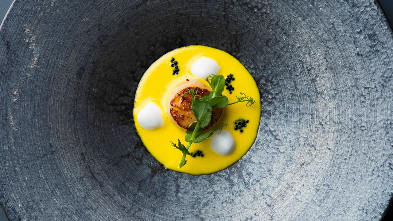 [12/3~2/28] プレリュード  ディナーコース