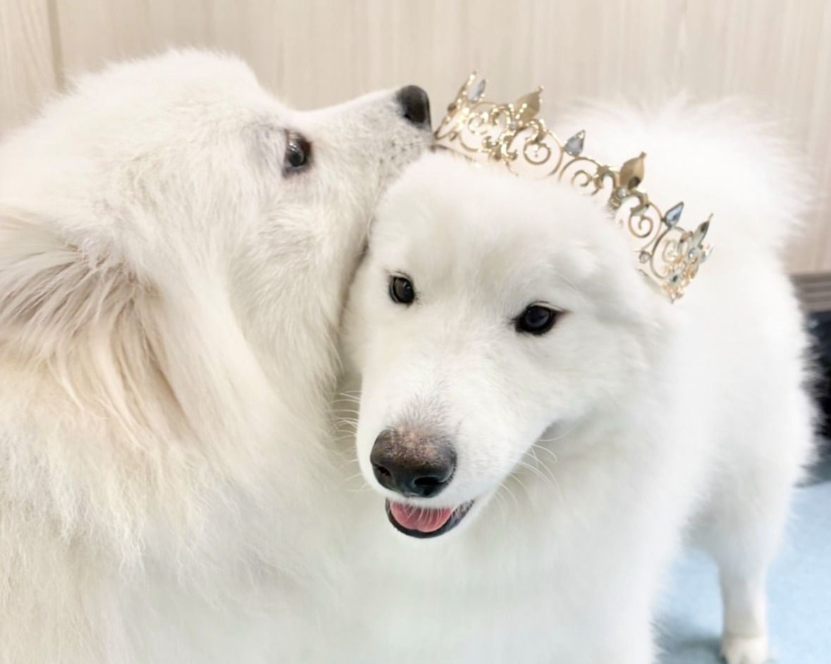 ≪겨울 휴가 기간 ≫통상 티켓(50분)