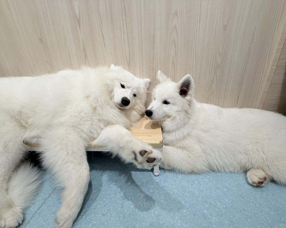 ≪겨울 휴가 기간 ≫통상 티켓(50분)