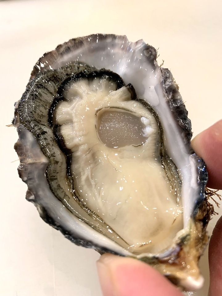 Omakase course (online prepayment)