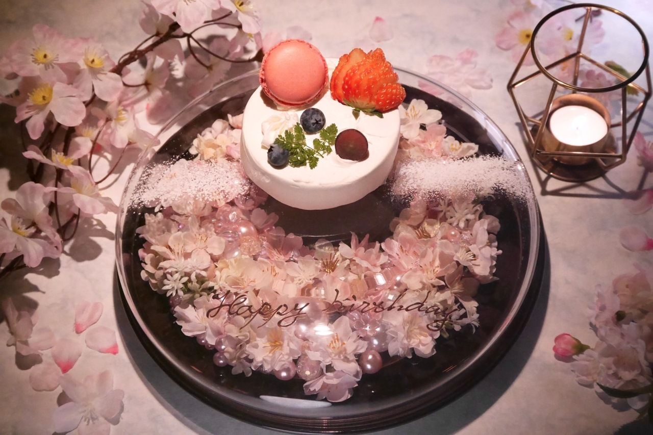 [March Only Special Course] Includes an Original Blue Cocktail and a "31-Day Only" Special Birthday Cake for Your Special One - Yumeyoizakura Course