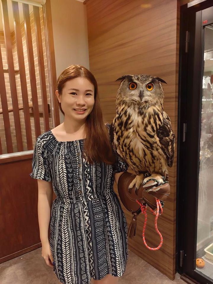 【60分大人】 触れ合い＋フクロウ乗せ体験＋1オーダー制