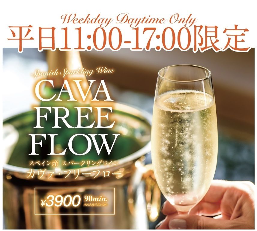カヴァ　フリーフロー（平日11時～17時限定）