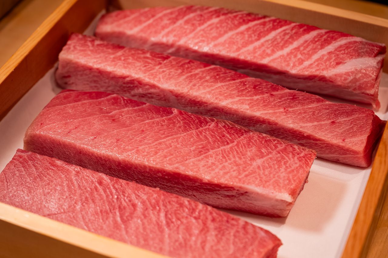 【昼の部】おまかせ