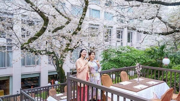 桟敷席（3/6～4/19）