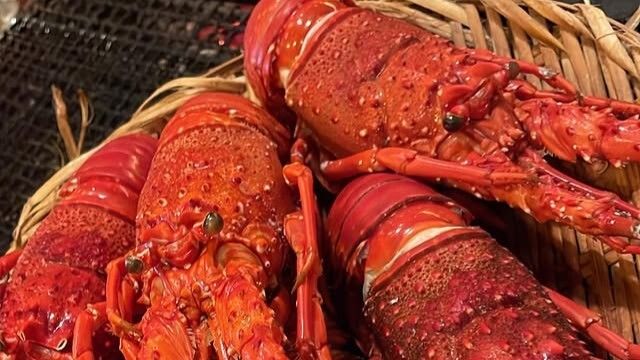 Shimanomeshi Minamoto