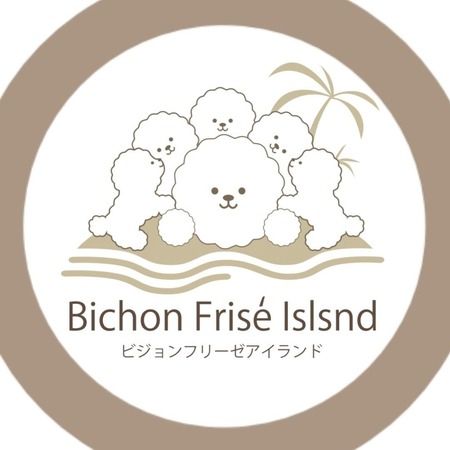 Bichon Frise Island Fukuoka Daimyo