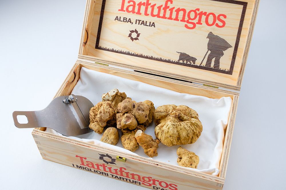 【11月12日・13日・14日】白トリュフ特別ディナー