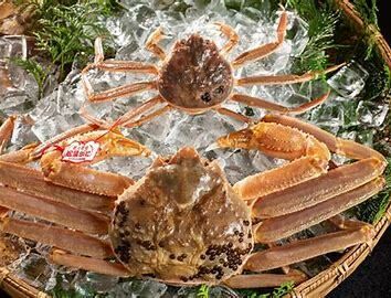 "Seasonal limited offer from November 08th to mid-January" Enjoy the taste of winter to the fullest with the "Live Matsuba Crab and Seko Crab Course" from 60,000yen (market price) *Prices are approximate as the market price for this season has not yet been determined.