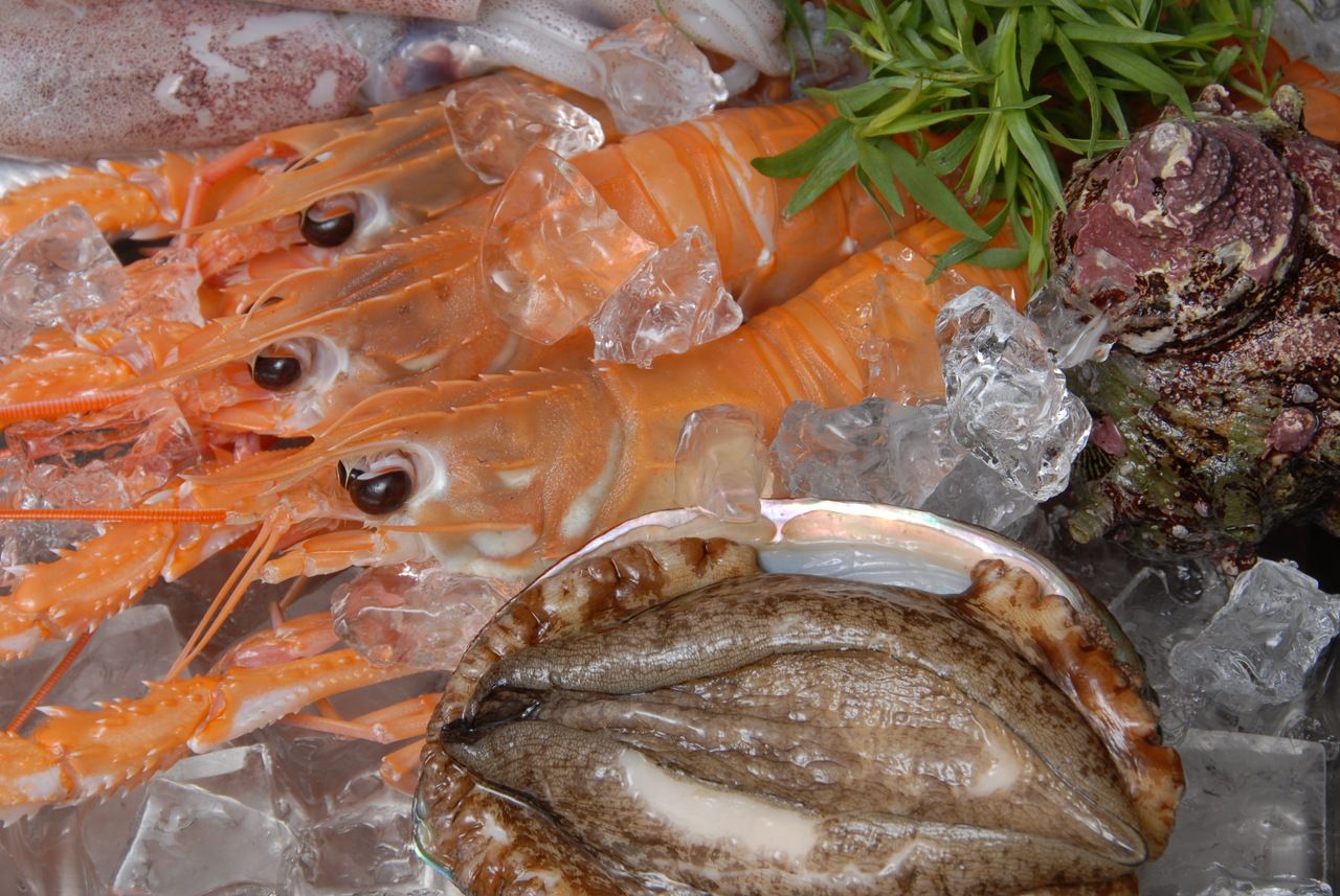 【事前割】おまかせコース