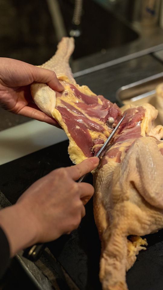 おまかせコース