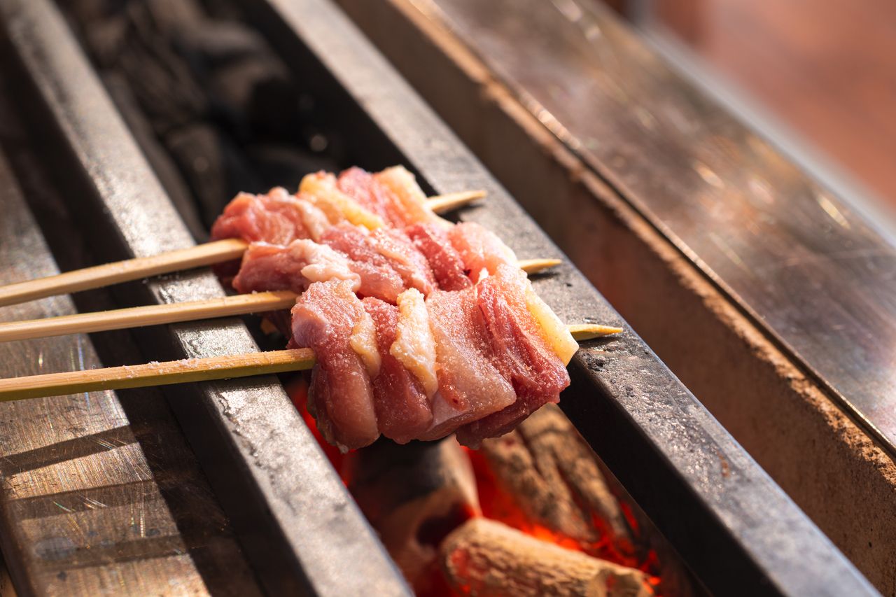 厳選鶏の焼鶏　ショートコース