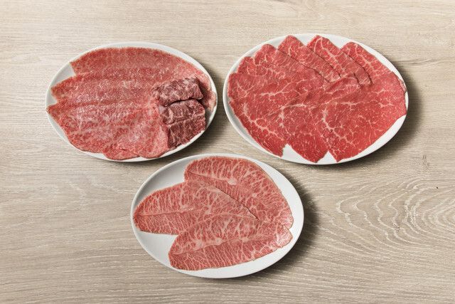 【おてごろコース】 