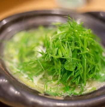 Chef's choice course 