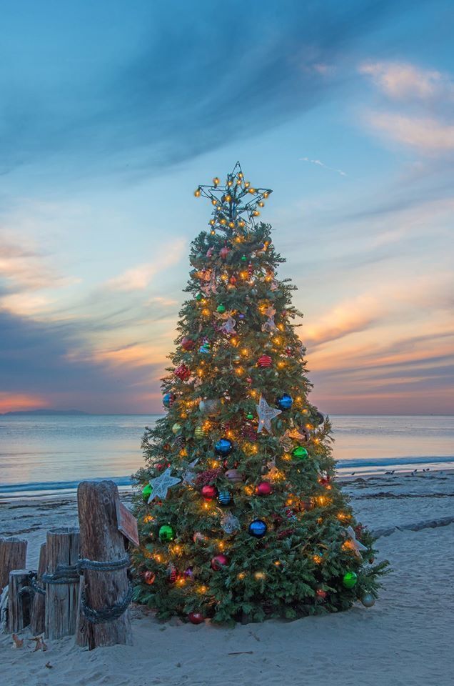 CEDROS SPECIAL CHRISTMAS DINNER