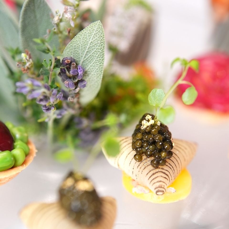 Lunch Course "Savory collection"