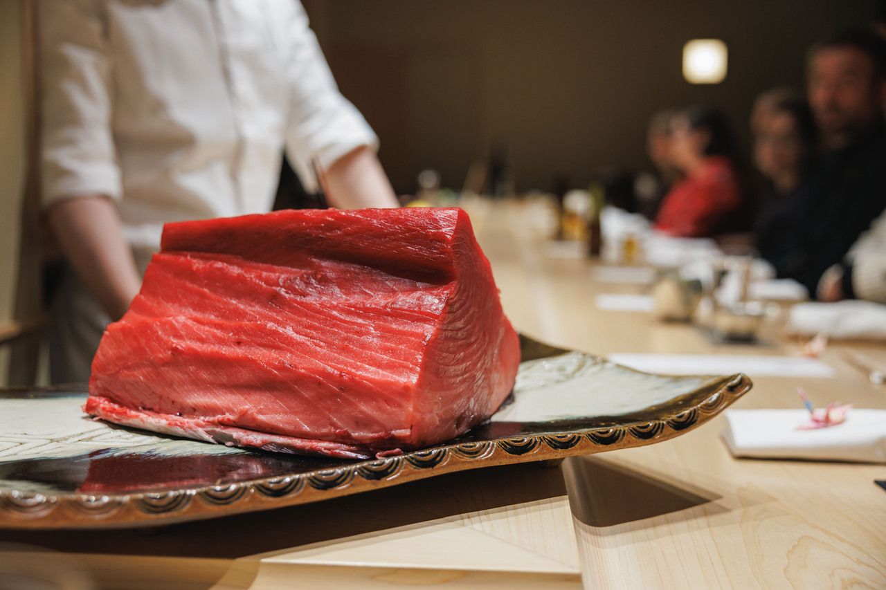 マグロ極コース -Tuna Special Course-