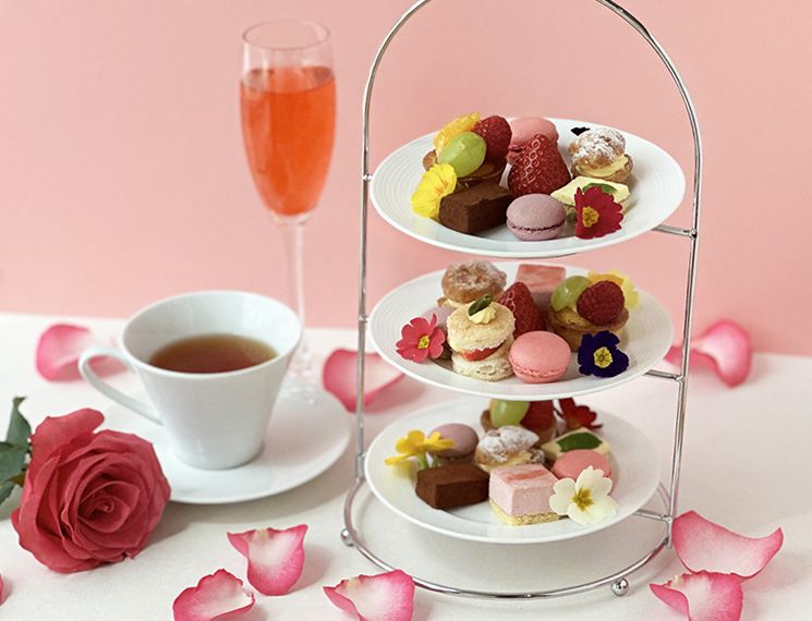 MINA'S Marie-Antoinette
