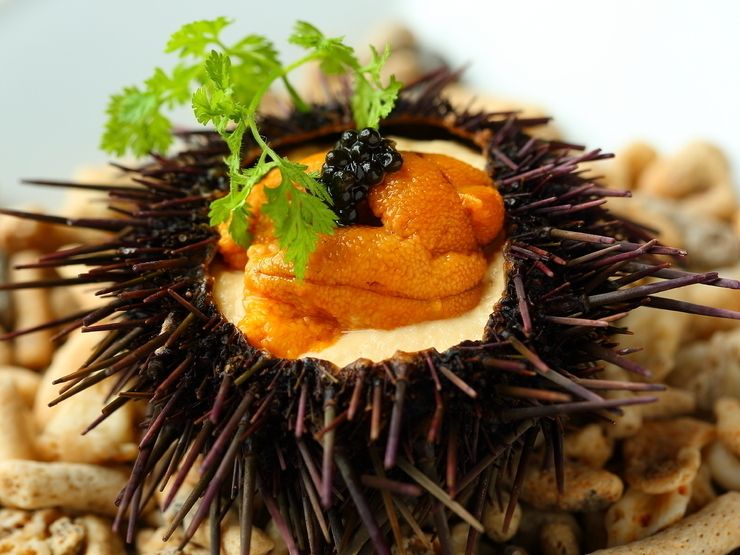 Standard course ~Full course of seafood including raw sea urchin pudding, raw oysters, grilled oysters~