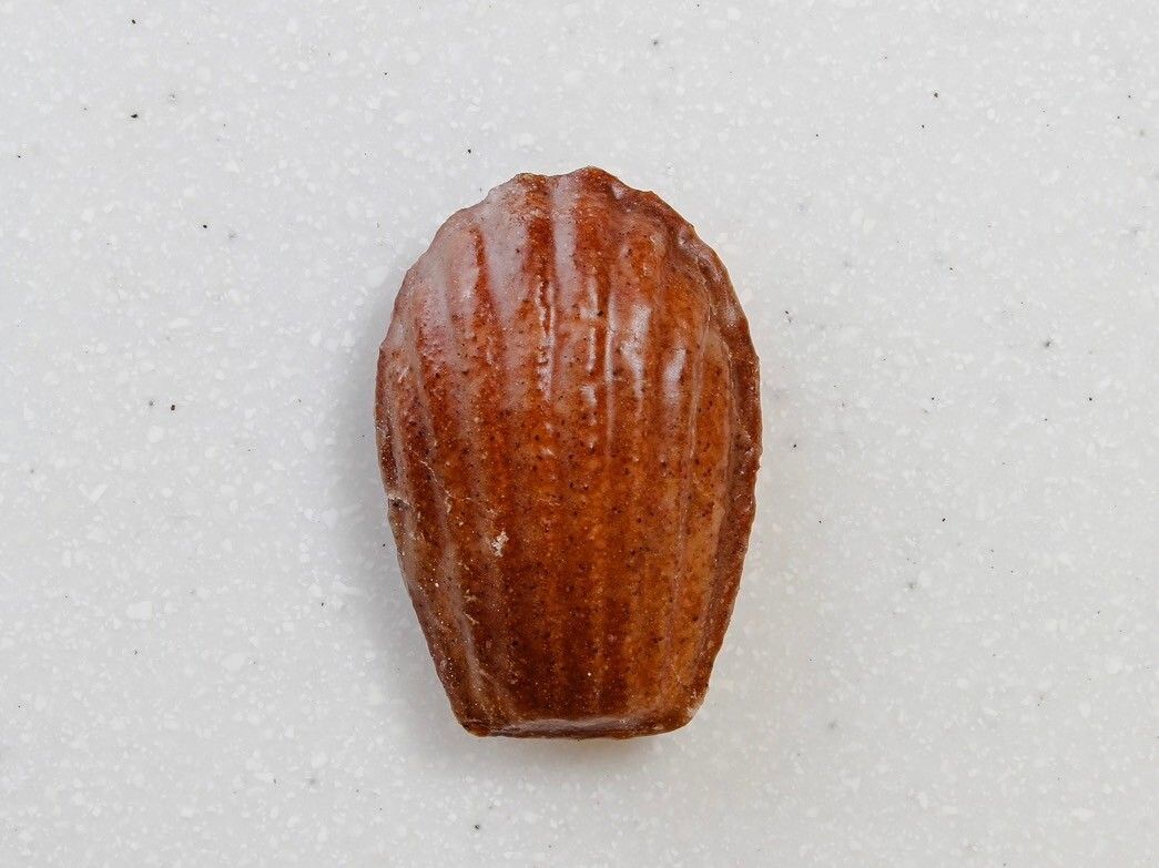 【当日焼き】マドレーヌ　バニーユ